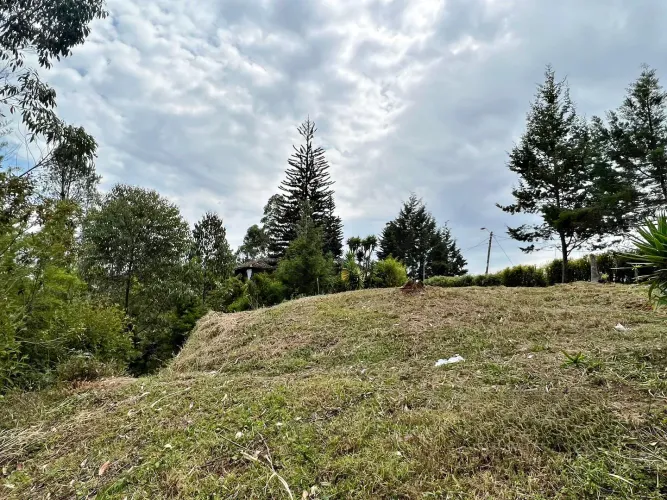 Lote en venta en Abreo, Rionegro, 7750 m² · foto 3 de 15