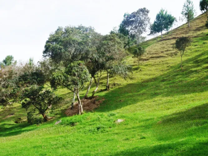 Lote en venta en Las Palmas, Envigado, 11600 m² · foto 5 de 10