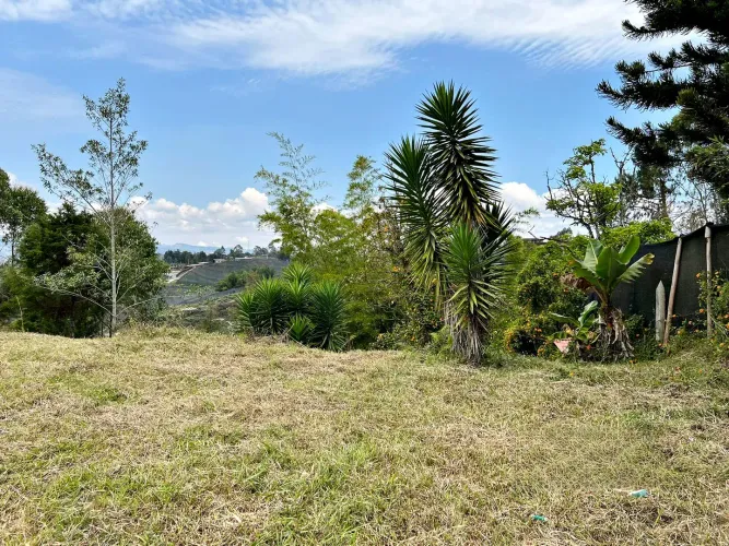 Lote en venta en Abreo, Rionegro, 7750 m² · foto 4 de 15