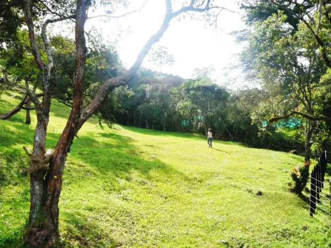 Lote en venta en Las Palmas, Envigado, 11600 m² · foto 6 de 10