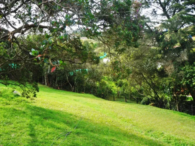 Lote en venta en Las Palmas, Envigado, 11600 m² · foto 8 de 10