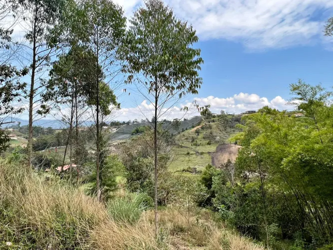 Lote en venta en Abreo, Rionegro, 7750 m² · foto 6 de 15
