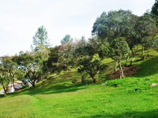 Lote en venta en Las Palmas, Envigado, 11600 m² · foto 9 de 10