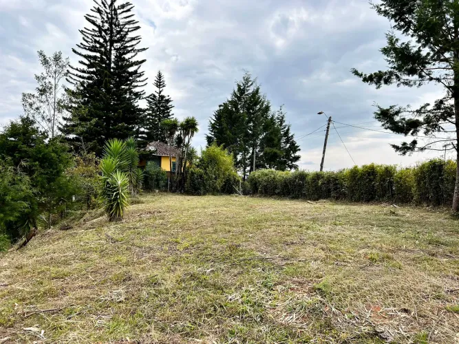 Lote en venta en Abreo, Rionegro, 7750 m² · foto 7 de 15