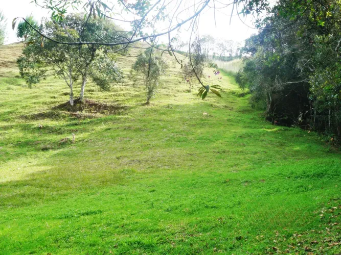 Lote en venta en Las Palmas, Envigado, 11600 m² · foto 10 de 10