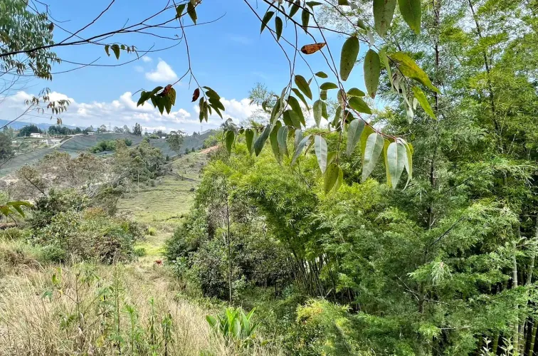 Lote en venta en Abreo, Rionegro, 7750 m² · foto 8 de 15