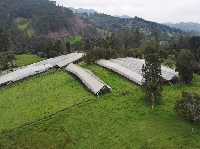 Lote en venta en Guayabito, Rionegro, 29521 m² · foto 3 de 10