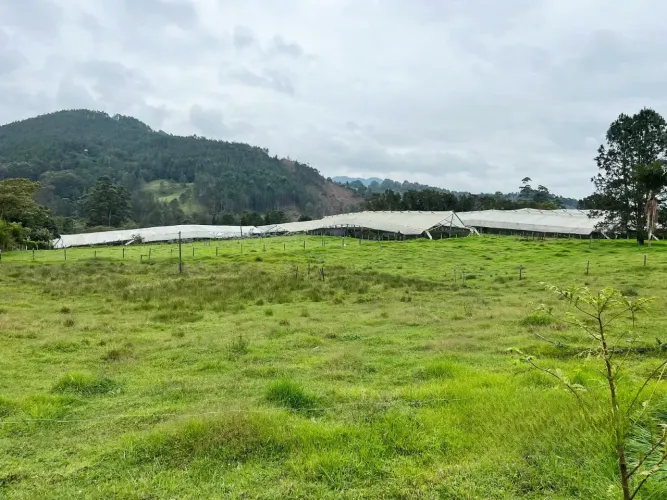 Lote en venta en Guayabito, Rionegro, 29521 m² · foto 4 de 10