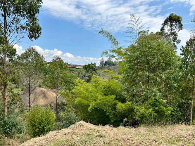 Lote en venta en Abreo, Rionegro, 7750 m² · foto 13 de 15