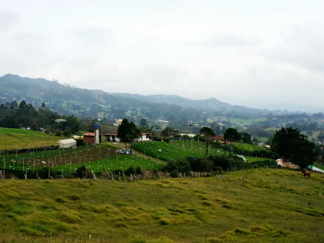 Lote en venta en Pontezuela, Rionegro, 51000 m² · foto 5 de 14
