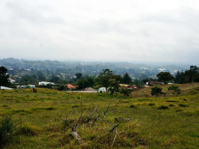 Lote en venta en Pontezuela, Rionegro, 51000 m² · foto 6 de 14