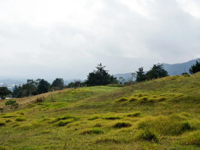 Lote en venta en Pontezuela, Rionegro, 51000 m² · foto 7 de 14