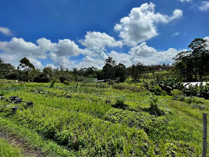 Lote en venta en Llano Grande, Rionegro, 53800 m² · foto 2 de 24