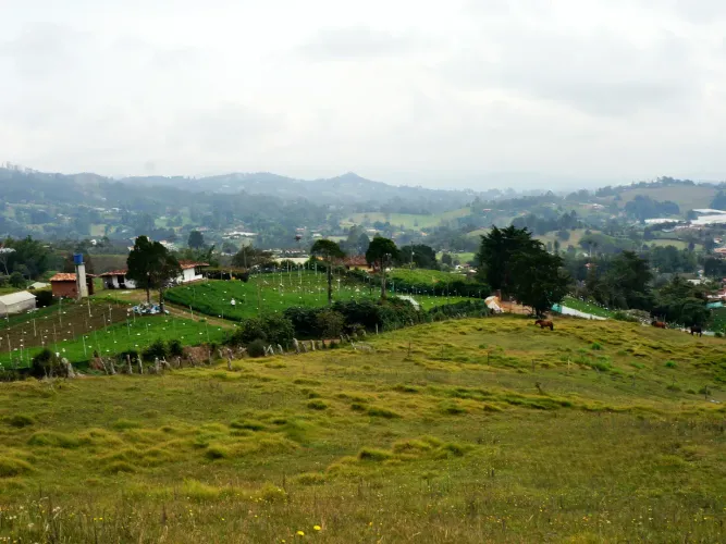 Lote en venta en Pontezuela, Rionegro, 51000 m² · foto 8 de 14