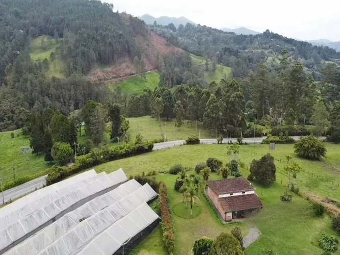 Lote en venta en Guayabito, Rionegro, 29521 m² · foto 8 de 10