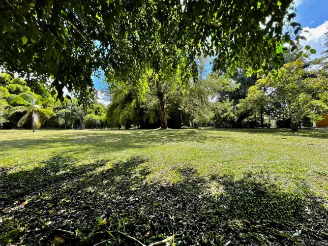 Lote en venta en Llano Grande, Rionegro, 53800 m² · foto 3 de 24