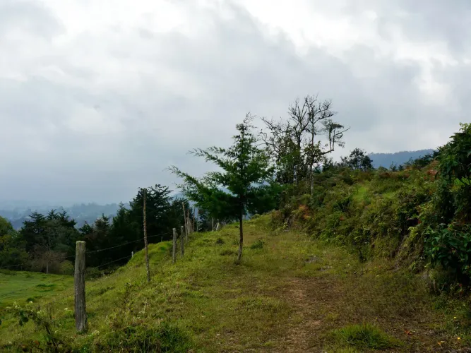 Lote en venta en Pontezuela, Rionegro, 51000 m² · foto 9 de 14