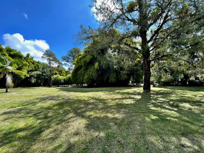 Lote en venta en Llano Grande, Rionegro, 53800 m² · foto 4 de 24