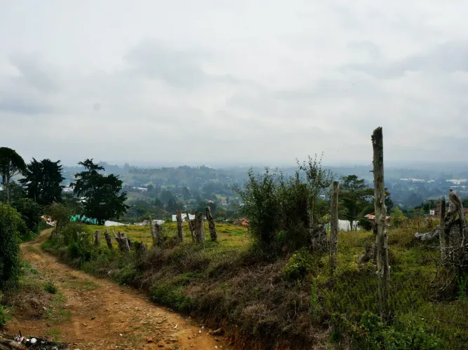 Lote en venta en Pontezuela, Rionegro, 51000 m² · foto 10 de 14