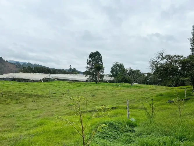 Lote en venta en Guayabito, Rionegro, 29521 m² · foto 10 de 10