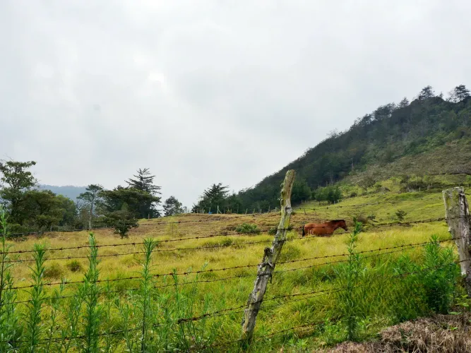Lote en venta en Pontezuela, Rionegro, 51000 m² · foto 11 de 14