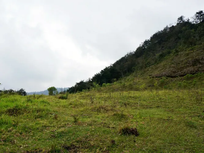 Lote en venta en Pontezuela, Rionegro, 51000 m² · foto 13 de 14