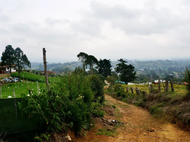 Lote en venta en Pontezuela, Rionegro, 51000 m² · foto 14 de 14