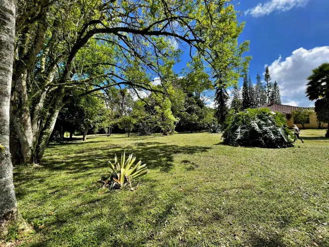 Lote en venta en Llano Grande, Rionegro, 53800 m² · foto 11 de 24