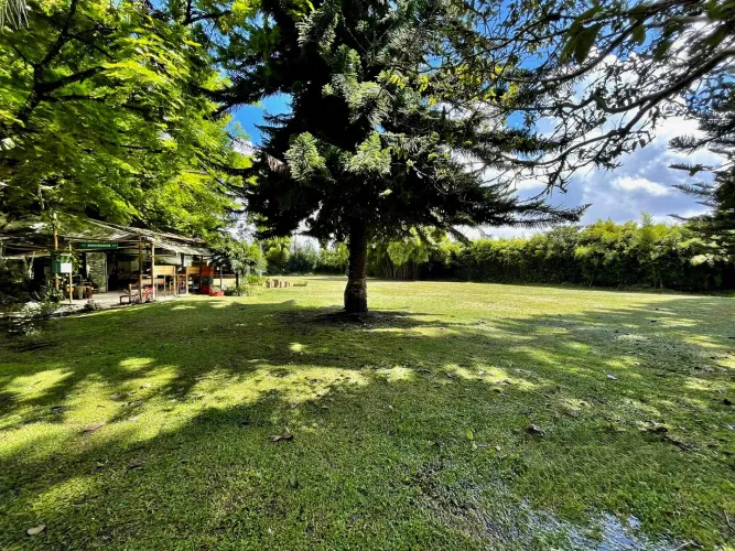 Lote en venta en Llano Grande, Rionegro, 53800 m² · foto 12 de 24