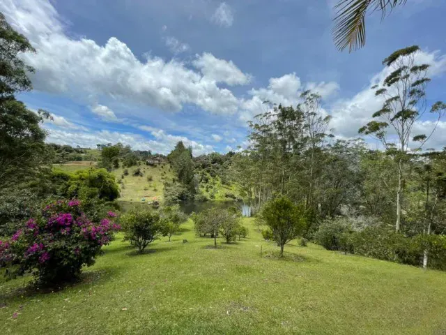 Lote en venta en Quirama, El Carmen de Viboral, 10000 m² · foto 6 de 9