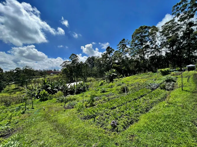 Lote en venta en Llano Grande, Rionegro, 53800 m² · foto 16 de 24