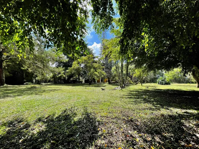 Lote en venta en Llano Grande, Rionegro, 53800 m² · foto 17 de 24