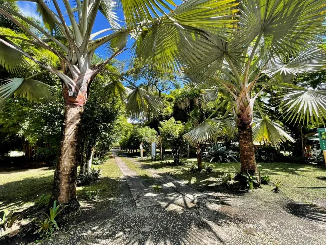 Lote en venta en Llano Grande, Rionegro, 53800 m² · foto 19 de 24