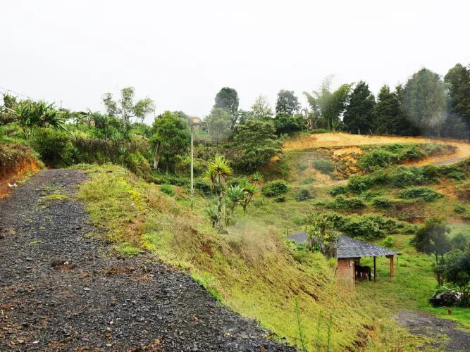 Lote en venta en El Porvenir, Rionegro, 12000 m² · foto 8 de 12