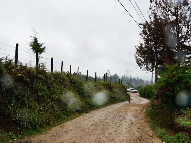 Lote en venta en El Porvenir, Rionegro, 12000 m² · foto 11 de 12