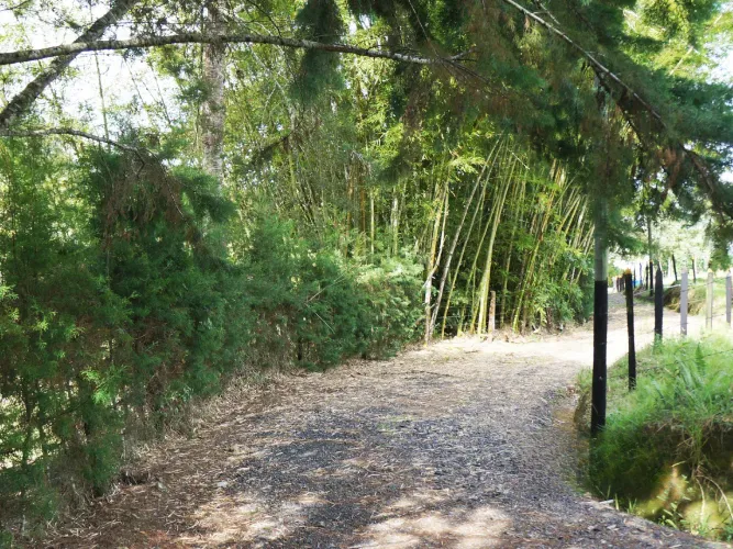 Lote en venta en La Ceja, 15000 m² · foto 2 de 13