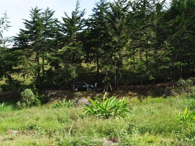 Lote en venta en La Ceja, 15000 m² · foto 5 de 13