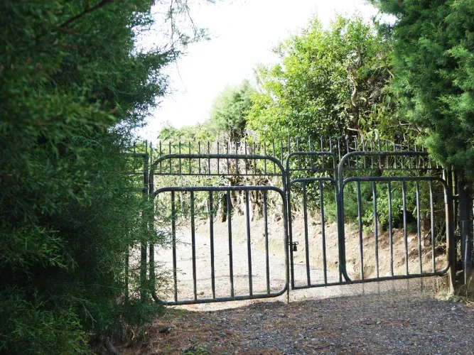 Lote en venta en La Ceja, 15000 m² · foto 9 de 13