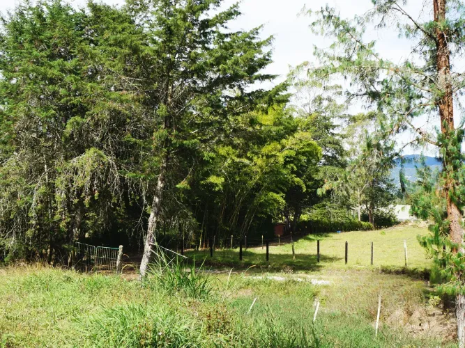 Lote en venta en La Ceja, 15000 m² · foto 10 de 13