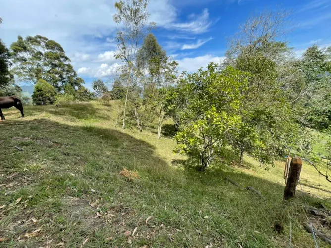 Lote en venta en San Nicolas, La Ceja, 24220 m² · foto 8 de 9