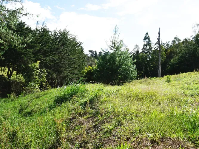 Lote en venta en La Ceja, 15000 m² · foto 11 de 13