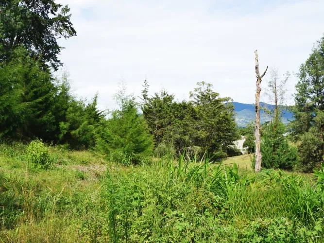 Lote en venta en La Ceja, 15000 m² · foto 12 de 13