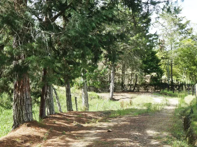 Lote en venta en La Ceja, 15000 m² · foto 13 de 13