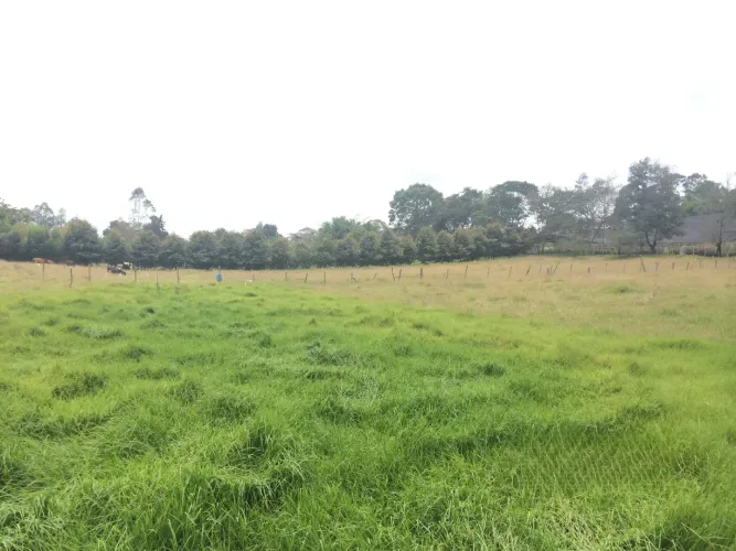 Lote en venta en Vilachuaga, Rionegro, 11500 m² · foto 2 de 12