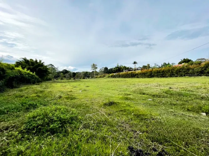 Lote en venta en El Porvenir, Rionegro, 11700 m² · foto 7 de 8