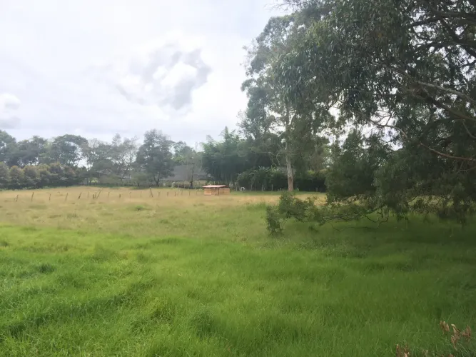 Lote en venta en Vilachuaga, Rionegro, 11500 m² · foto 6 de 12