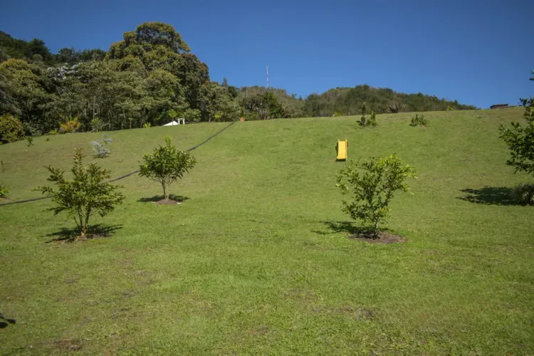 Lote en venta en Guamito, Rionegro, 4926 m² · foto 8 de 10