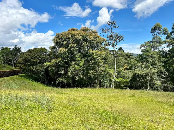 Lote en venta en Quirama, El Carmen de Viboral, 3479 m² · foto 6 de 12