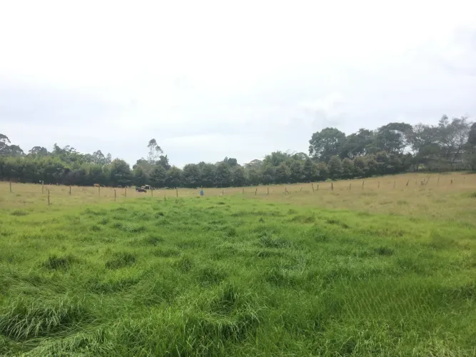 Lote en venta en Vilachuaga, Rionegro, 11500 m² · foto 9 de 12