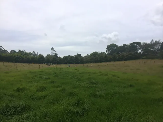 Lote en venta en Vilachuaga, Rionegro, 11500 m² · foto 10 de 12